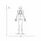 RoomMates Glow In The Dark Skeleton Peel & Stick Giant Decals